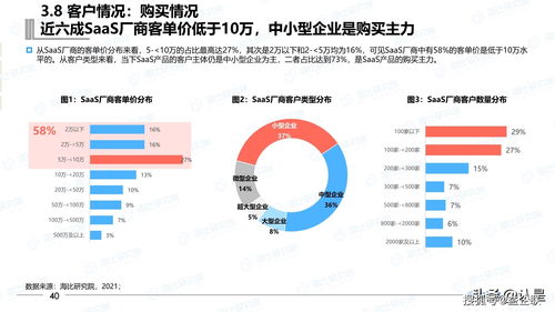 2021年中国saas市场研究报告