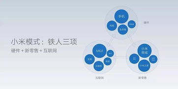 小米上市一周年业绩不佳 市值蒸发43