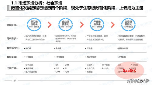 2021年中国saas市场研究报告