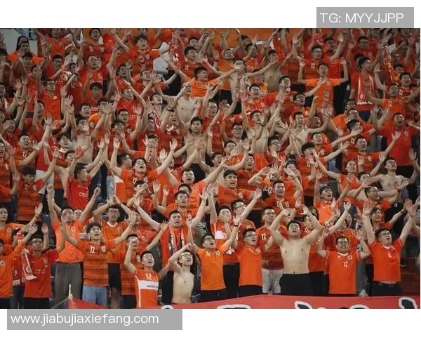 深圳乒乓球队在奥运会中的团队协作表现值得赞赏与反思