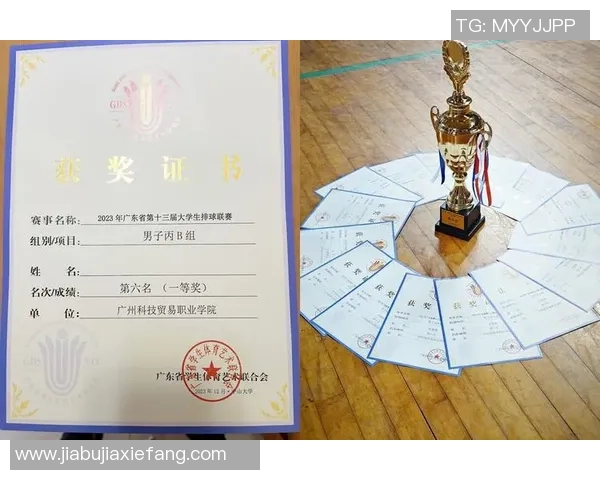 广州排球队实力强劲荣登全国第七名展现出色竞技状态